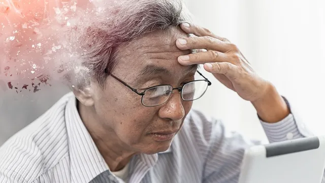 expert-explains-causes-of-brain-ageing-and-how-to-reduce-impact-of-degeneration