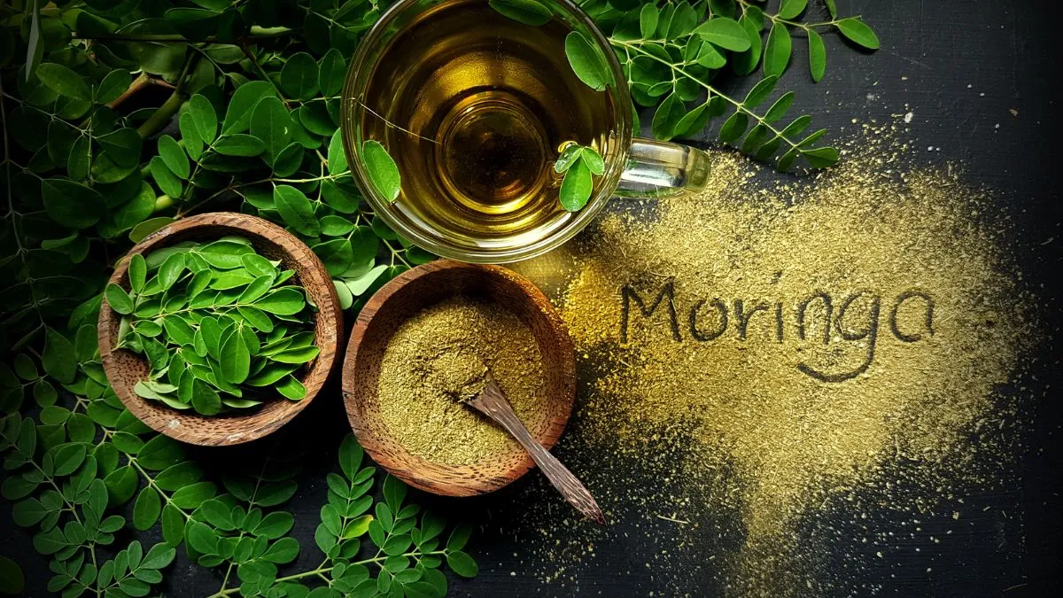 5-unbelievable-health-benefits-of-using-moringa-leaves-in-your-regular-meals