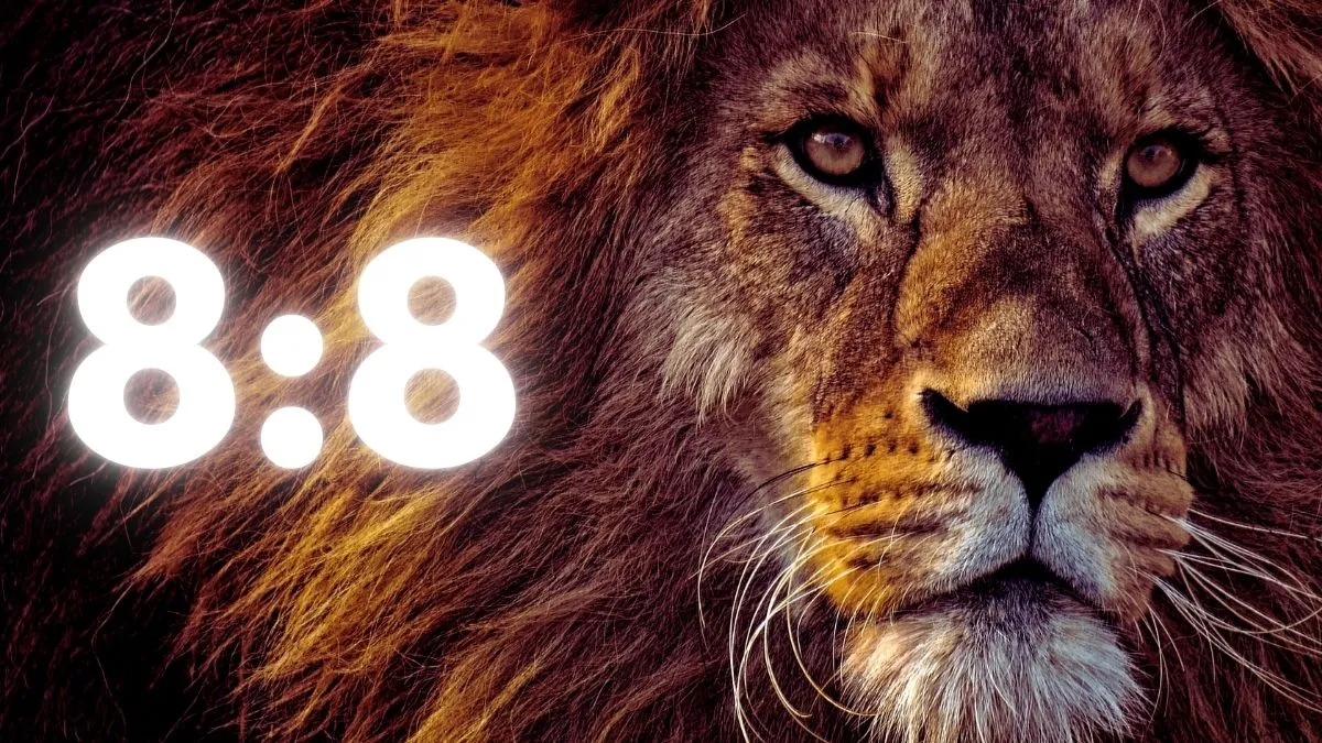 lions-gate-portal-2024-what-is-88-manifestation-know-its-effect-on-your-zodiac-sign