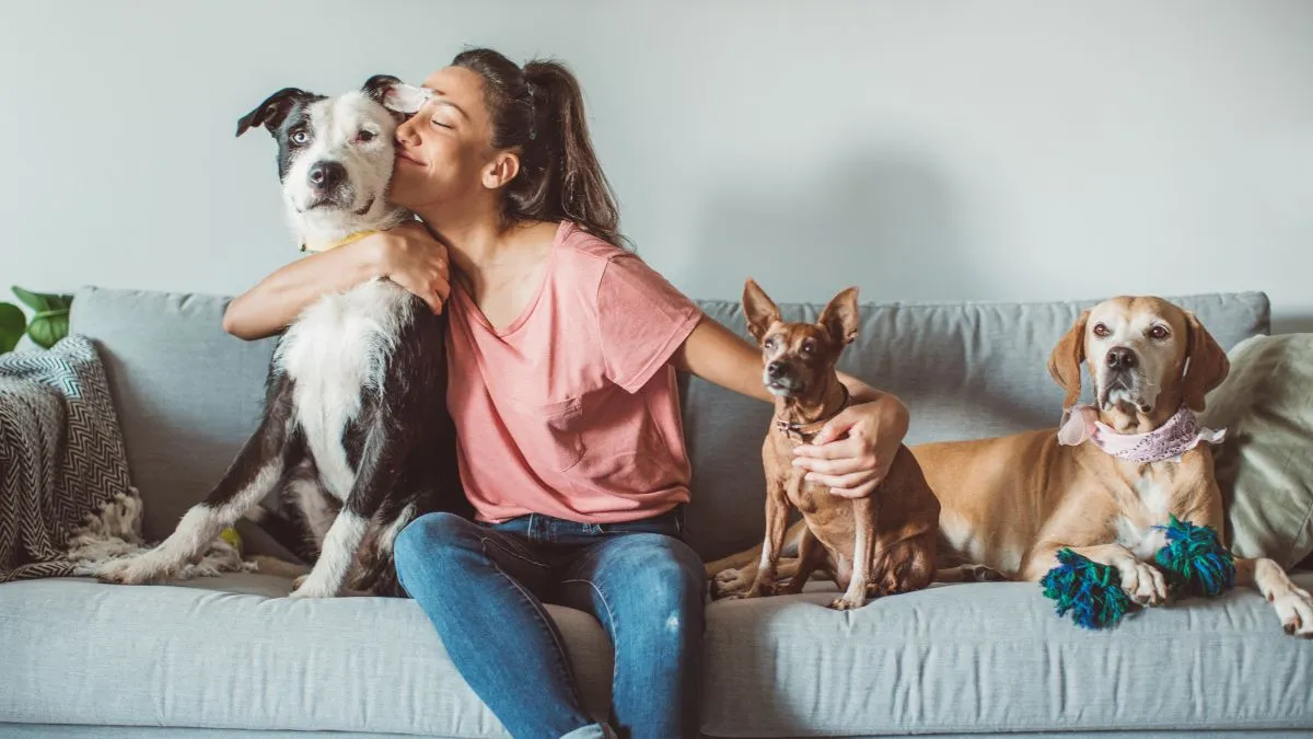 5-essential-tips-to-take-care-of-your-pets-in-monsoon-season