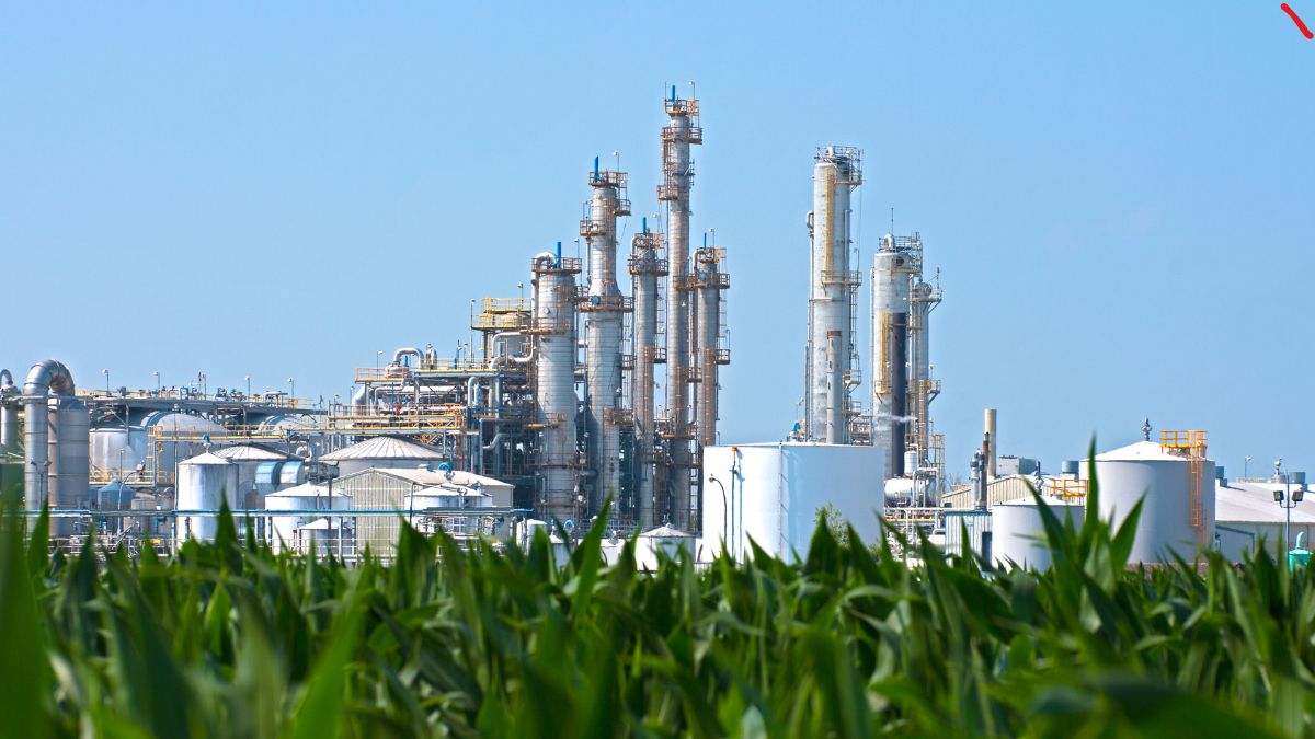 govt-mulls-ethanol-price-hike-for-202425-season-to-incentivize-production-meet-blending-goals