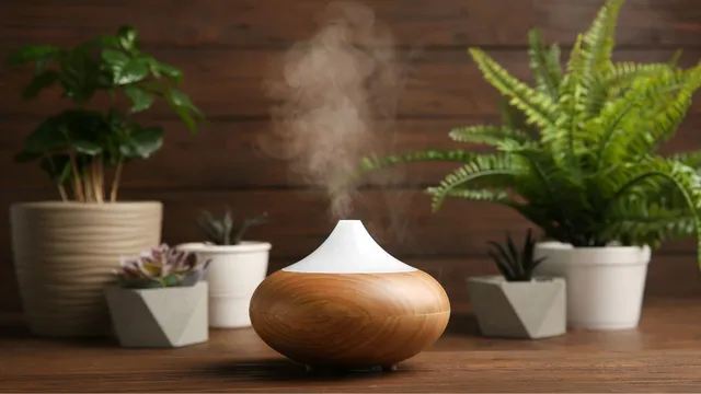 use-these-essential-oils-to-keep-your-room-fresh-and-smell-good-in-monsoon