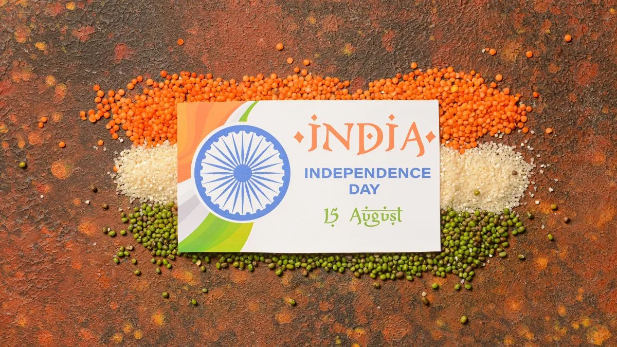 India Independence Day 2024 Cati Mattie