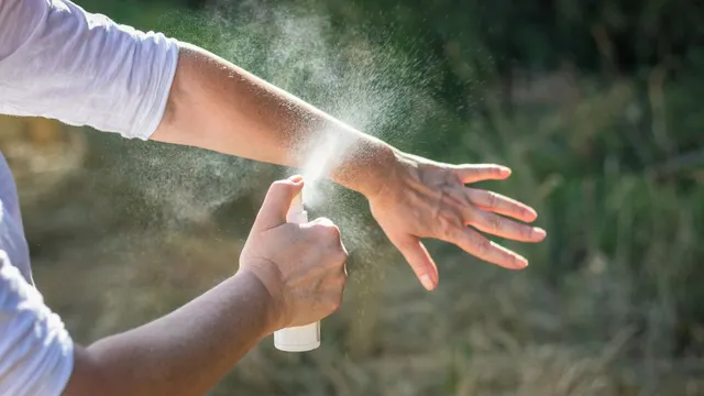 world-mosquito-day-2024-easy-hacks-to-keep-your-home-mosquito-free