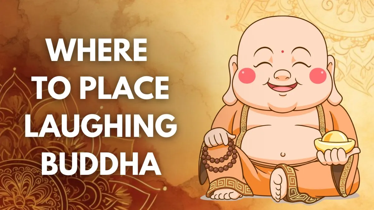 5-best-areas-to-place-laughing-buddha-for-wealth-and-prosperity-as-per-vastu-shastra