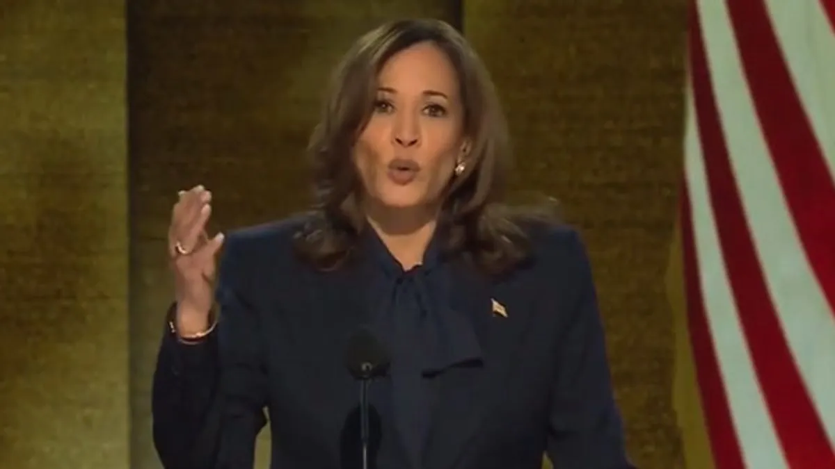 Kamala Harris Accepts Democratic Party Nomination, Warns US Of 'Serious