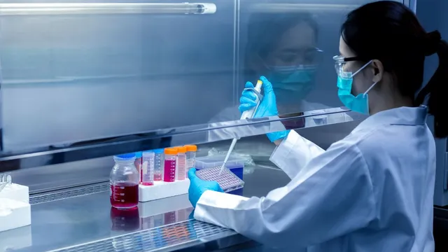 how-gut-health-influences-immune-systems-ability-to-recognise-and-fight-cancer-cells-expert-explains