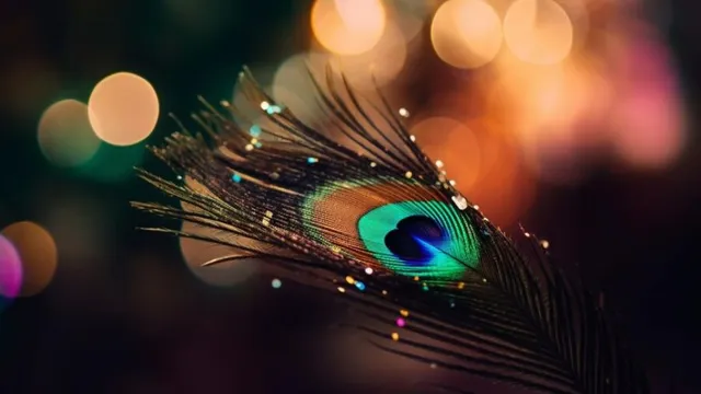 7 Best Places At Home To Keep Peacock Feather For Boost In Prosperity ...