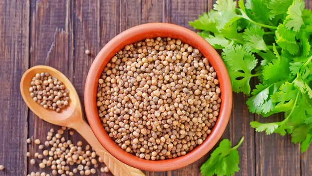 5-healthy-and-remarkable-benefits-of-drinking-one-glass-of-coriander-seed-water-every-morning-on-an-empty-stomach