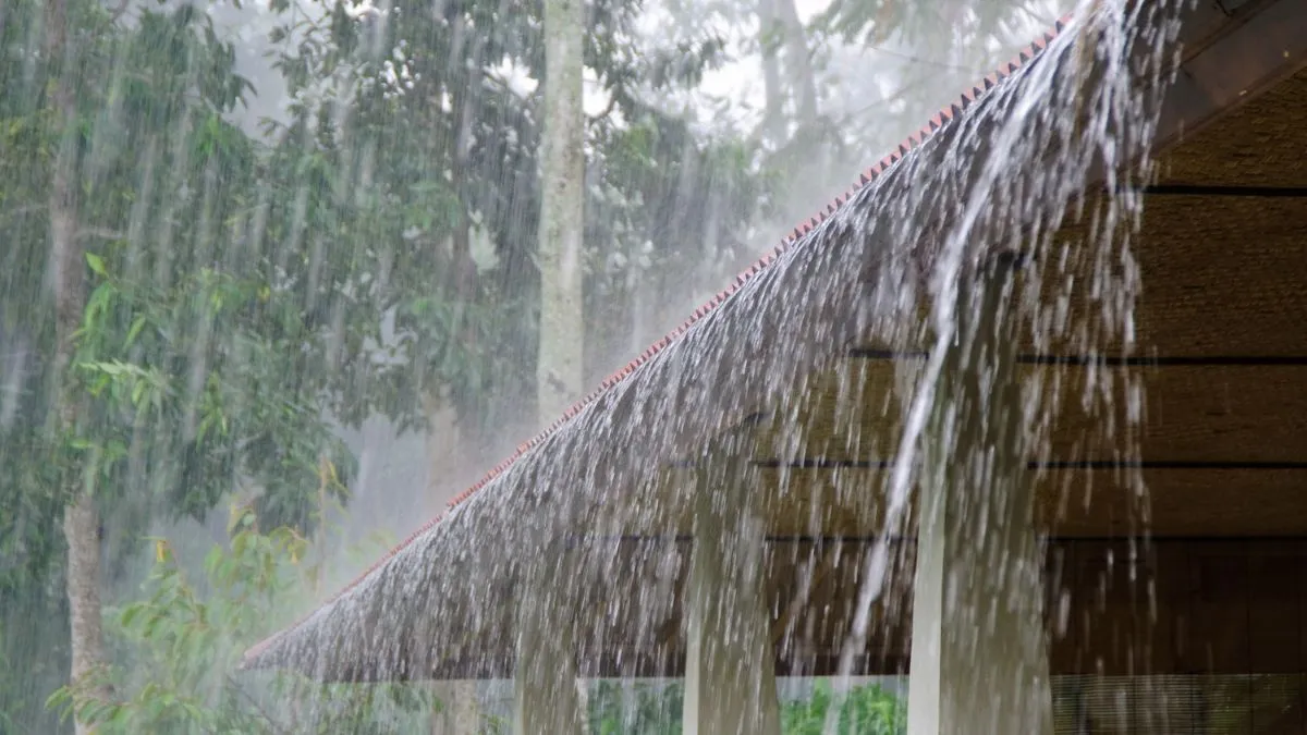 himachal-weather-shimla-rains-imd-yellow-alert-for-various-parts-of-himachal-pradesh-weather-forecast
