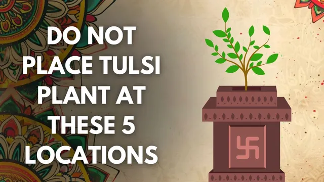 do-not-place-tulsi-plant-near-these-5-areas-even-by-mistake-know-possible-bad-effects-as-per-vastu-shastra