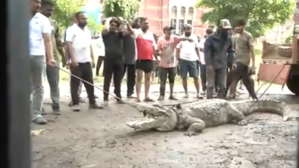 Gujarat Rains: Amid Massive Floods, Residents Of Vadodara Deal With ...