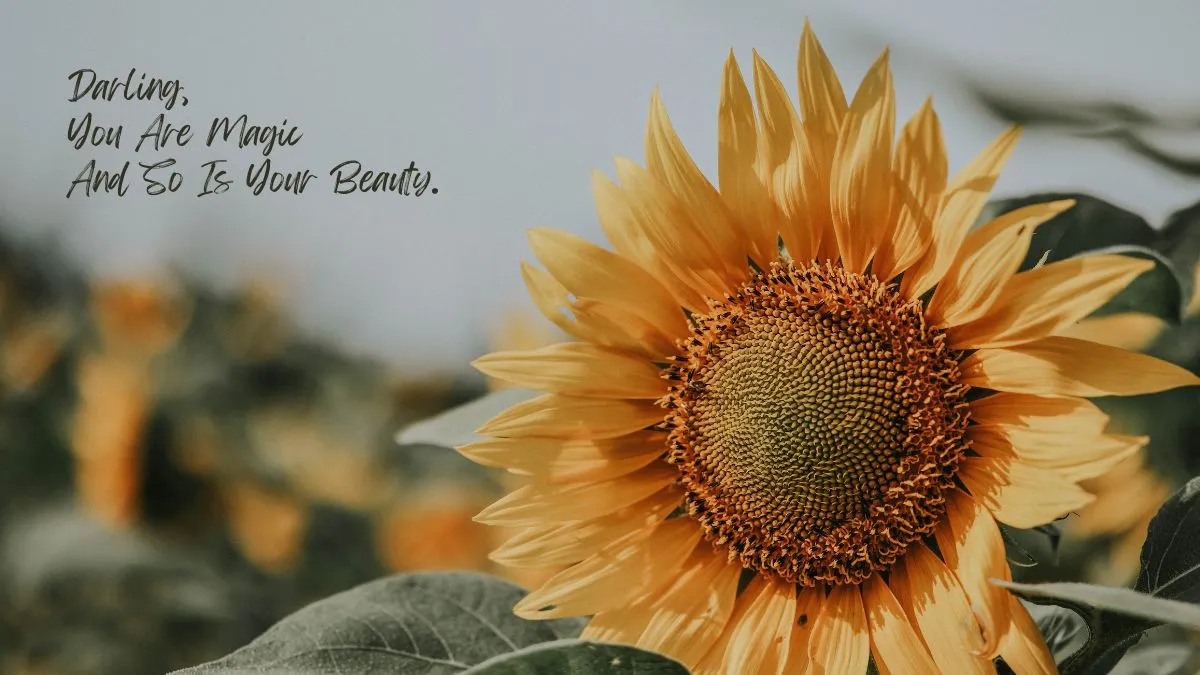 top-20-quotes-about-emotions-and-feelings-that-will-touch-your-heart