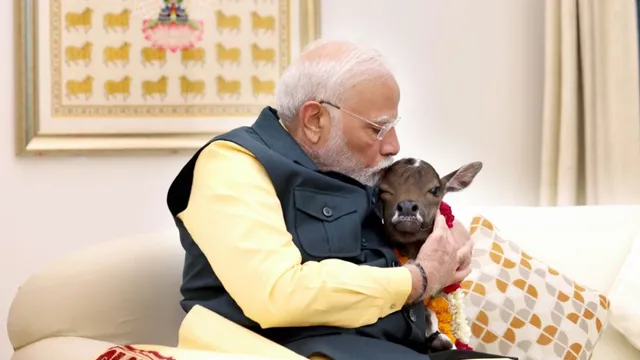 pm-modi-calf-video-newborn-deepyjyoti-at-his-residence-7-lok-kalyam-marg-pictures-watch-viral-video