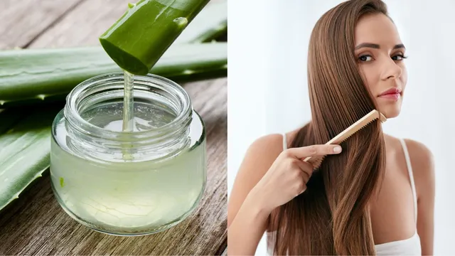 does-rubbing-aloe-vera-gel-on-the-scalp-regrow-hair-know-from-expert