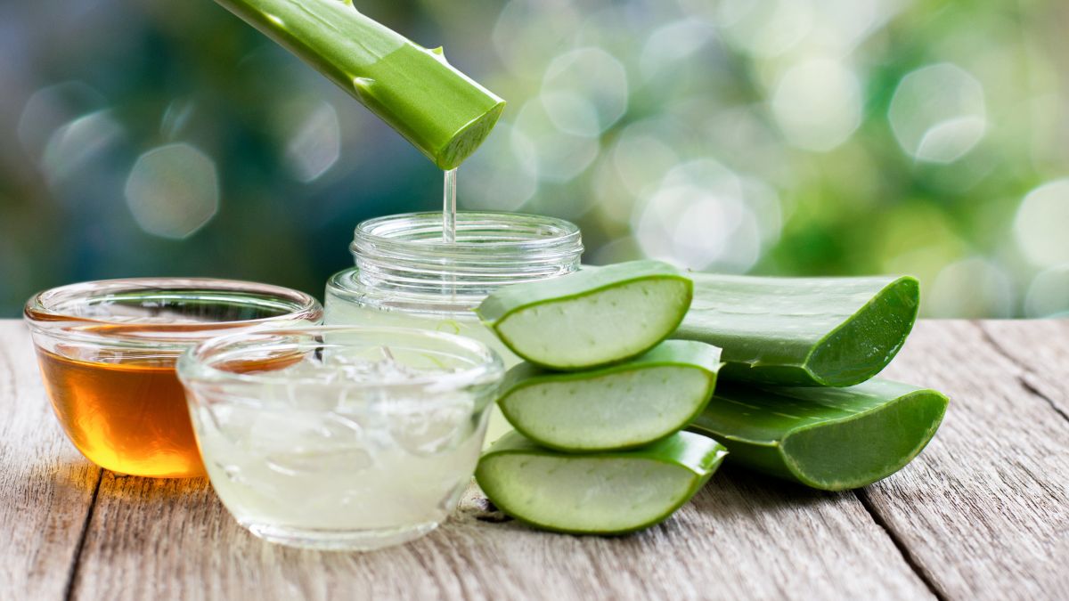 aloe vera on hair (1)