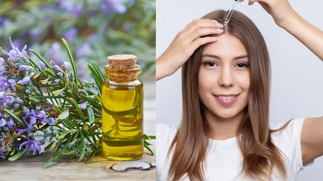 5-essential-oils-to-include-in-your-haircare-routine-for-healthy-scalp-and-hair-growth-know-from-expert