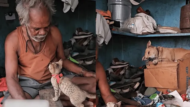 bengaluru-cobbler-leaves-internet-emotional-by-turning-his-tiny-shop-into-shelter-for-animals-viral-video