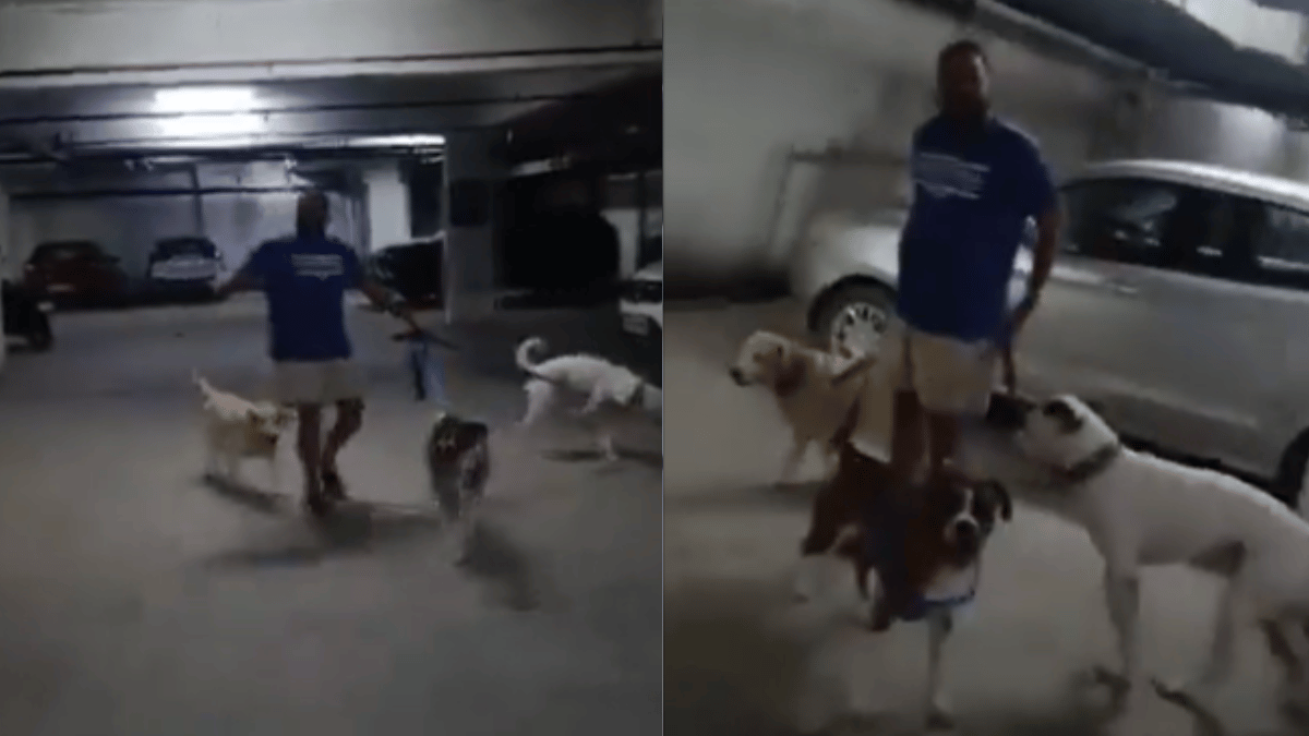 noida-society-security-guard-resident-oppose-man-for-walking-dogs-without-muzzle-internet-says-unnecessary-dog-phobia-viral-video