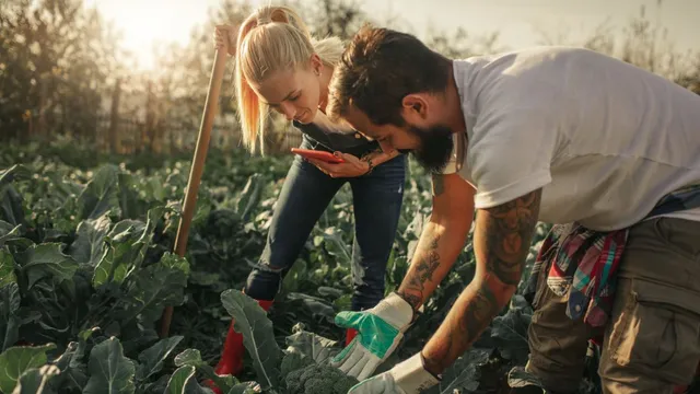 5-simple-steps-you-must-follow-to-start-basic-organic-farming-at-your-home