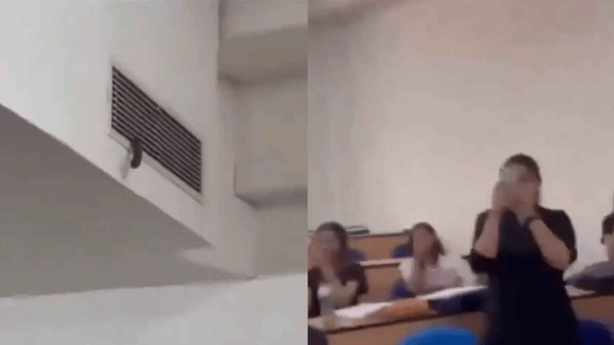 snake-slithers-out-of-ac-vent-in-university-class-full-of-students-horrifying-viral-video-leaves-internet-petrified