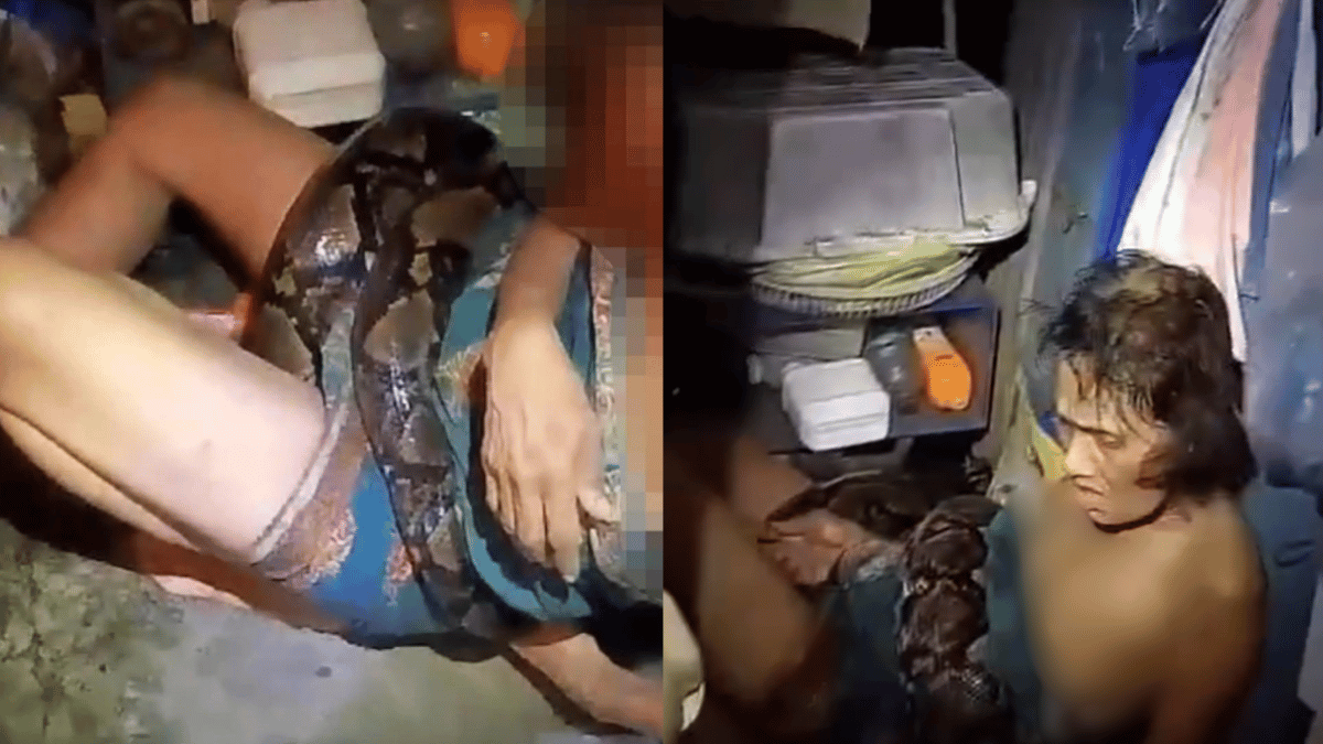 4-meter-long-python-strangles-woman-for-almost-2-hours-victim-gets-rescued-after-suffering-multiple-bites-viral-video