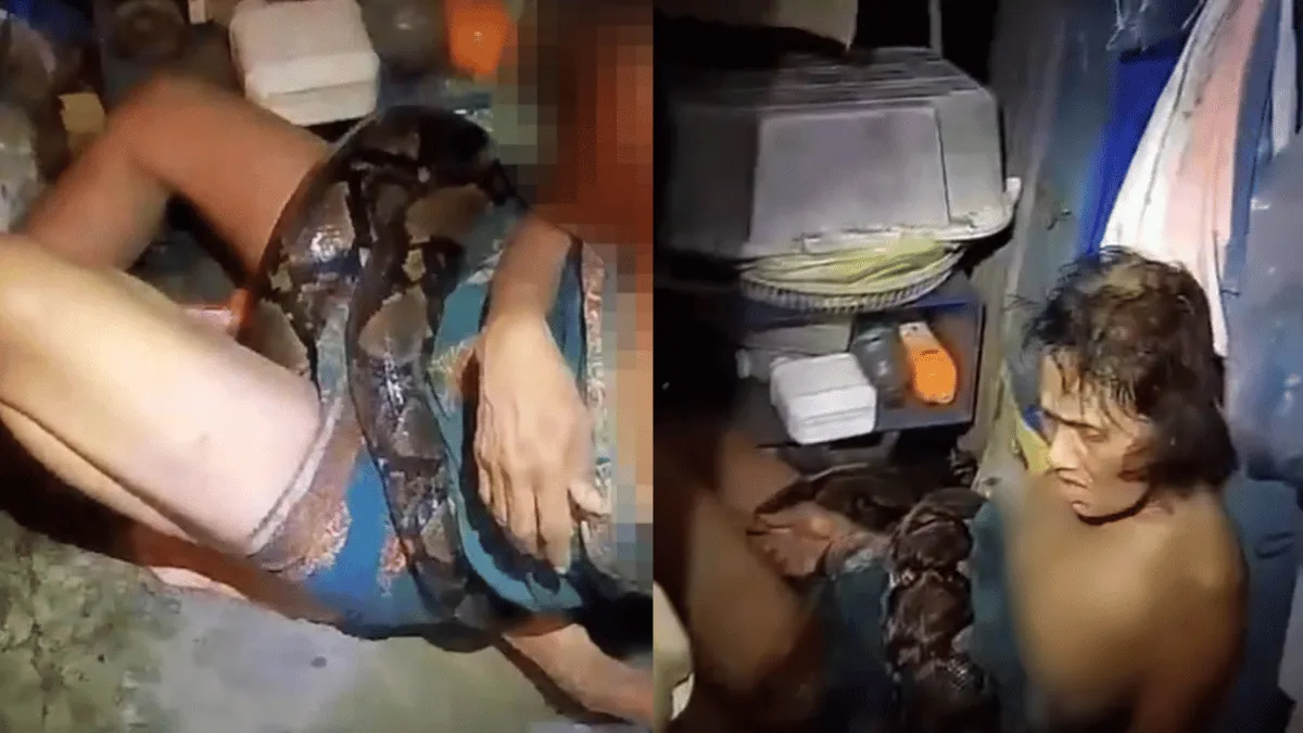 4-meter-long-python-strangles-woman-for-almost-2-hours-victim-gets-rescued-after-suffering-multiple-bites-viral-video