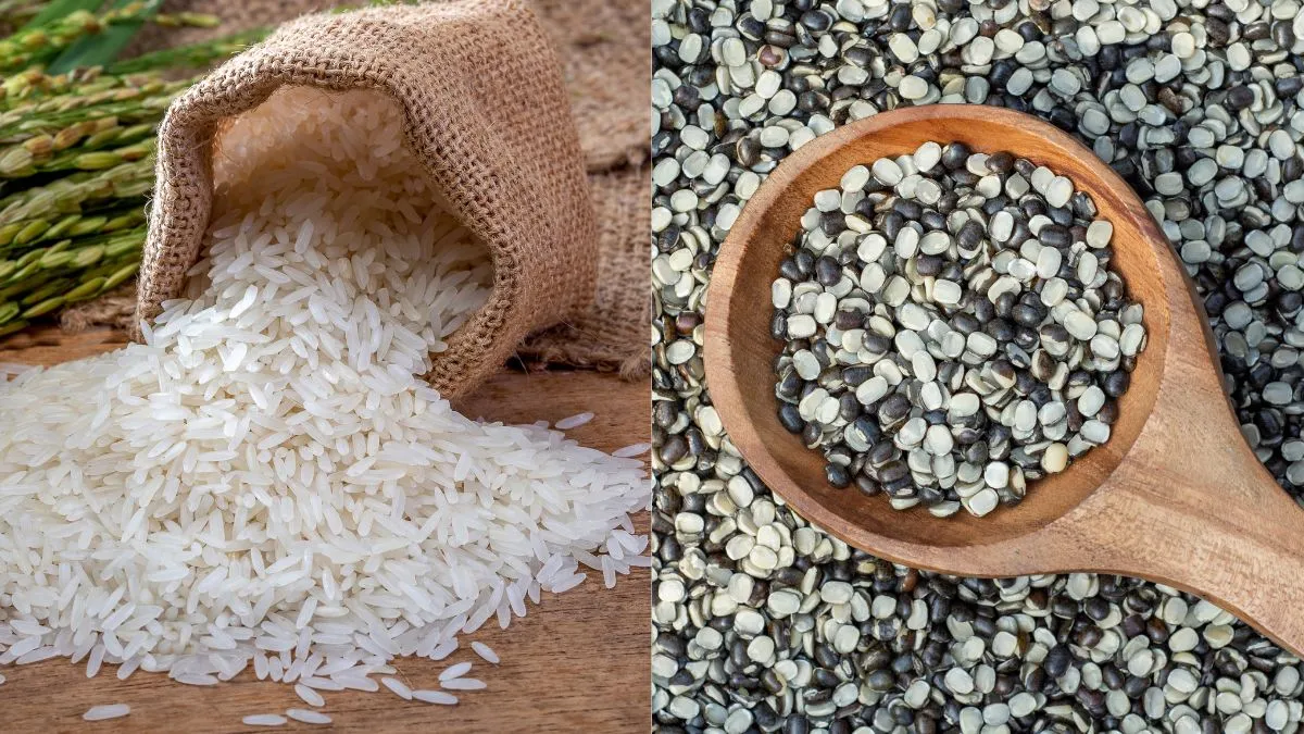 shradh-2024-why-urad-dal-and-rice-are-used-for-ancestor-worship-during-pitru-paksha