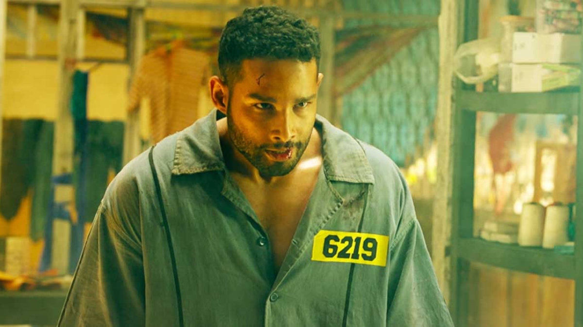 yudhra-twitter-review-siddhant-chaturvedi-highoctane-action-thriller-receives-mixed-reactions-check-tweets