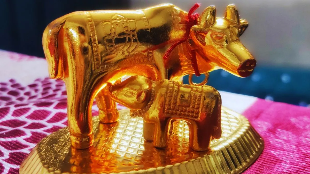 vastu-kamdhenu-cow-benefits-and-significance-check-5-best-places-to-keep-this-idol-at-home-to-attract-money-and-abundance
