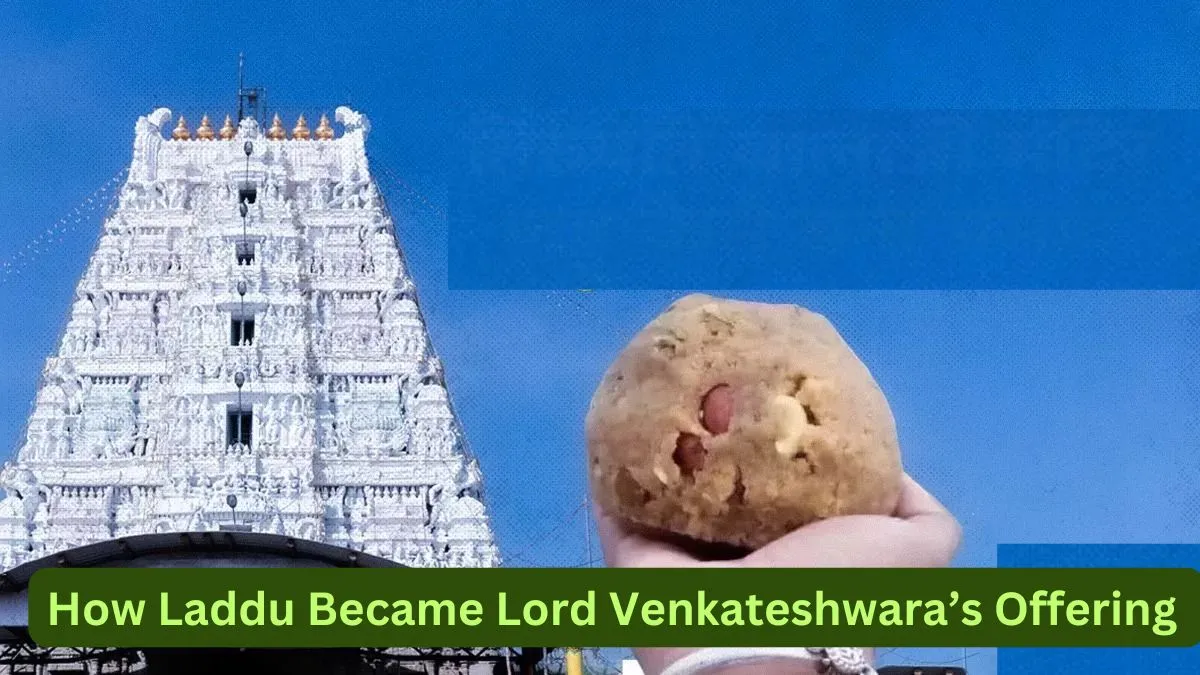 Tirupati Temple History: How Laddu Became The Special Offering To Lord ...