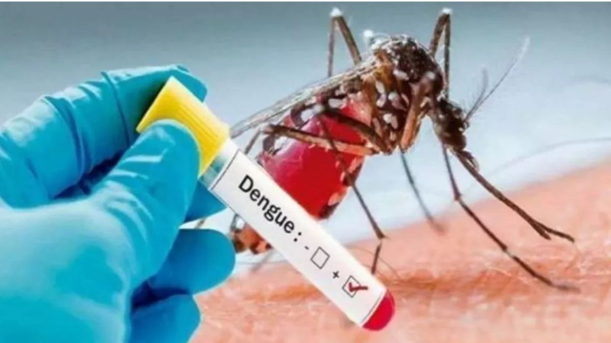 delhi-dengue-deaths-delhi-dengue-cases-mcd-dengue-data-discrepancy-under-reported-dengue-deaths-delhi-government-aap