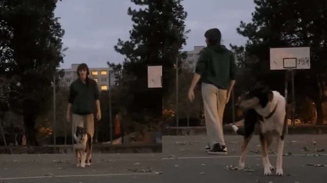 peak-cinema-woman-neatly-choreographed-dance-with-pet-dog-impresses-internet-viral-video