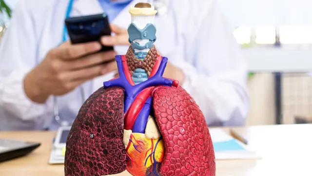 living-with-lung-disease-expert-advice-on-managing-symptoms-and-improving-quality-of-life