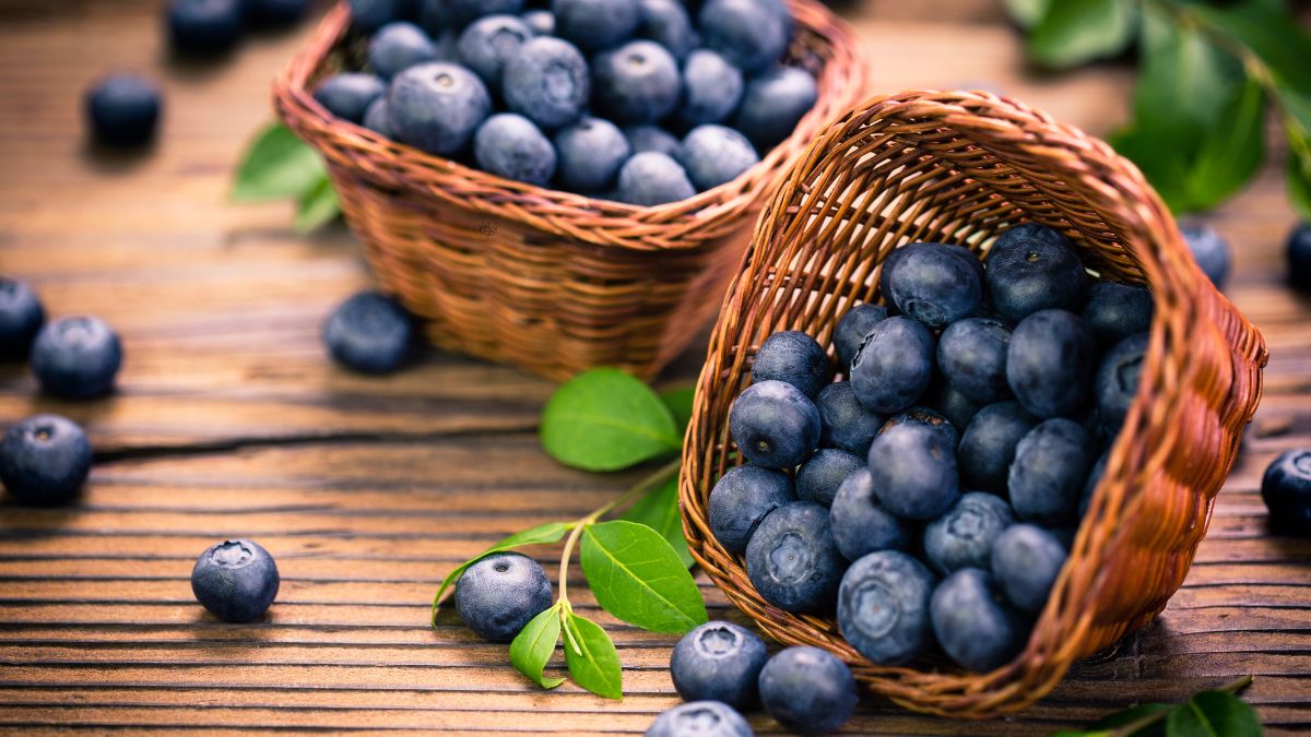 5-healthy-and-proven-advantages-of-eating-blueberries-every-alternate-day