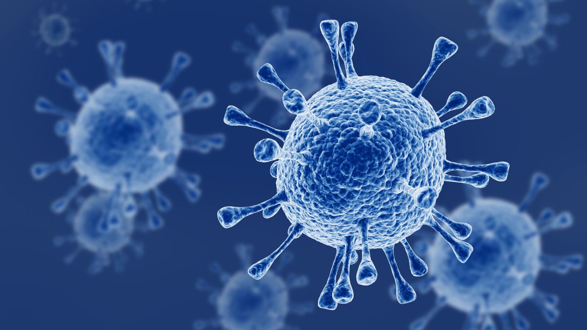 india-mpox-cases-kerala-reports-its-second-countrys-third-monkeypox-case-monkeypox-india-news-updates