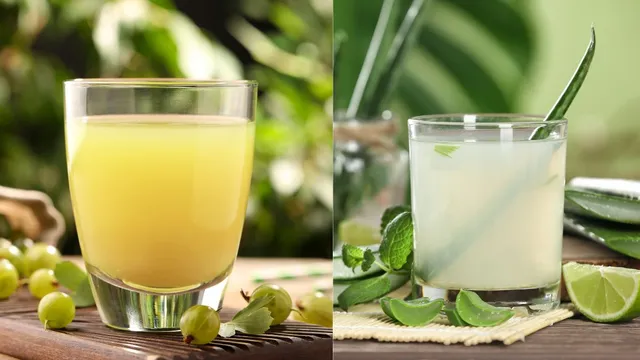 amla-juice-vs-aloe-vera-juice-which-is-better-choice-for-healthy-long-and-lustrous-hair