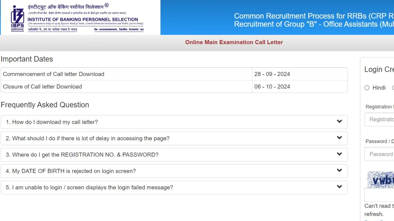 ibps-rrb-clerk-mains-admit-card-2024-released-download-clerk-mains-call-letter-at-ibps-in
