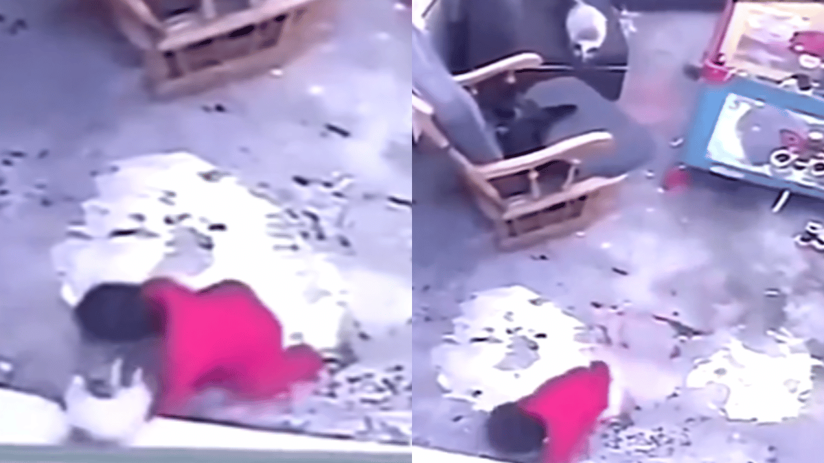 viral-video-shows-pet-cat-saving-unattended-baby-from-falling-off-stairs-internet-is-furious-over-parents