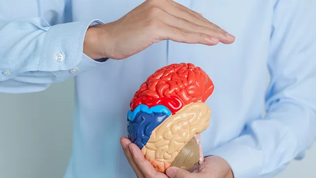 does-obesity-and-high-blood-pressure-can-cause-stroke-doctor-explains