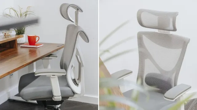 Best Sihoo Ergonomic Office Chair: Blend Luxury With Comfort