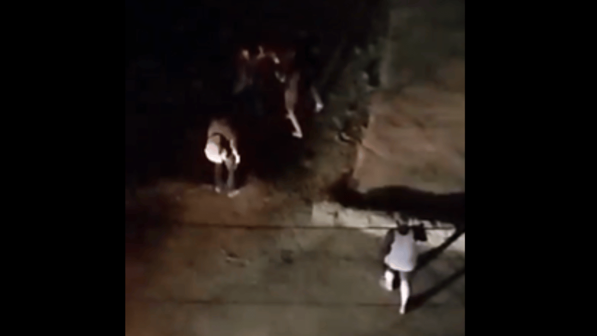 bengaluru-viral-video-man-claims-sister-attacked-for-arriving-hostel-late-by-15-minutes