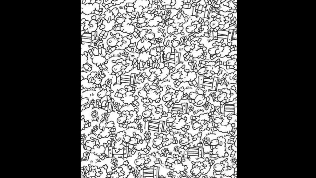brain-teaser-spot-the-chick-among-sheep-in-under-7-seconds
