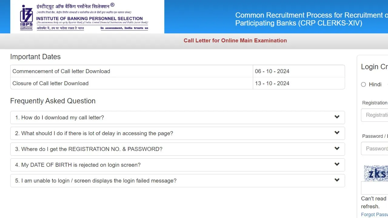 ibps-clerk-mains-admit-card-2024-released-at-ibps-in-get-direct-link-here