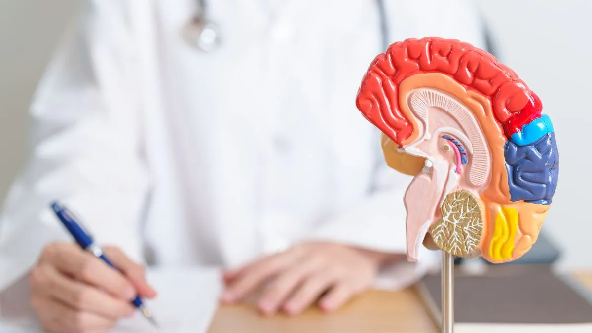 how-omega-6-fatty-acids-help-in-preventing-stroke-doctor-explains