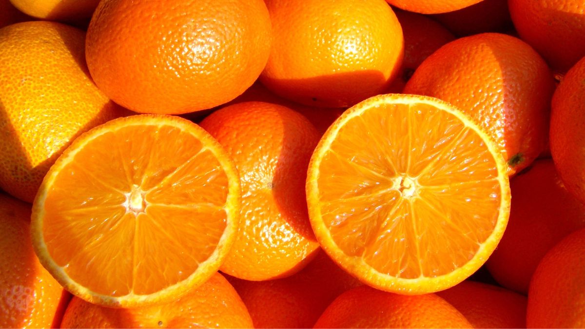 6 Foods And Drinks To Detox After Eating Junk Food | Know From Nutritionist