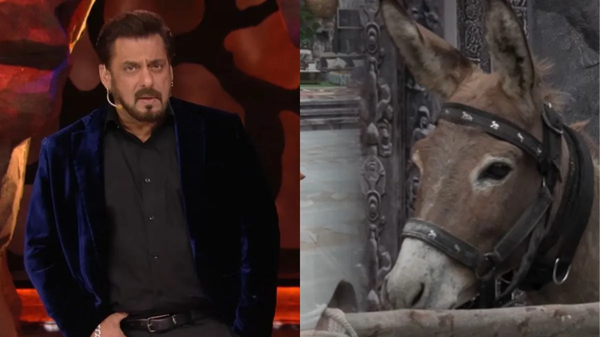 bigg-boss-18-peta-india-urges-salman-khan-and-makers-to-remove-donkey-from-the-show-jiocinema