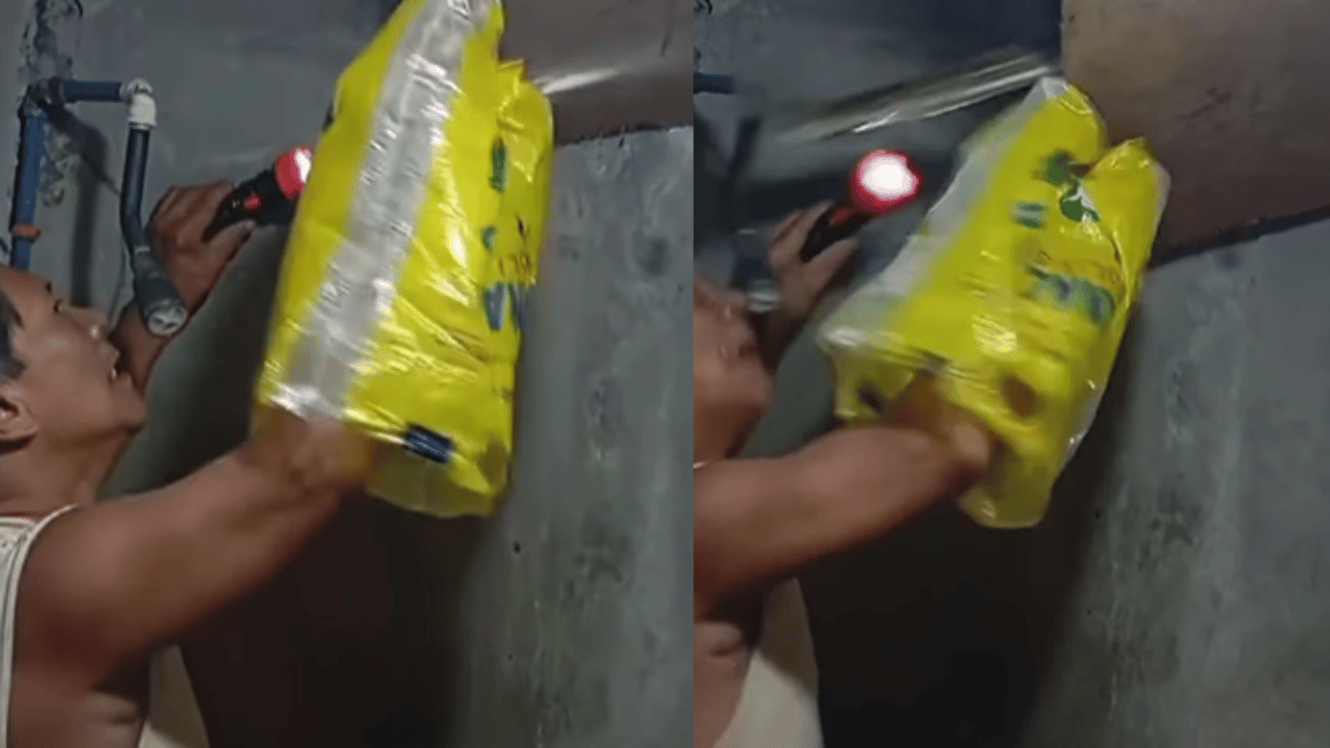 man-last-minute-save-from-massive-python-attack-hiding-under-ceiling-impresses-internet-viral-video