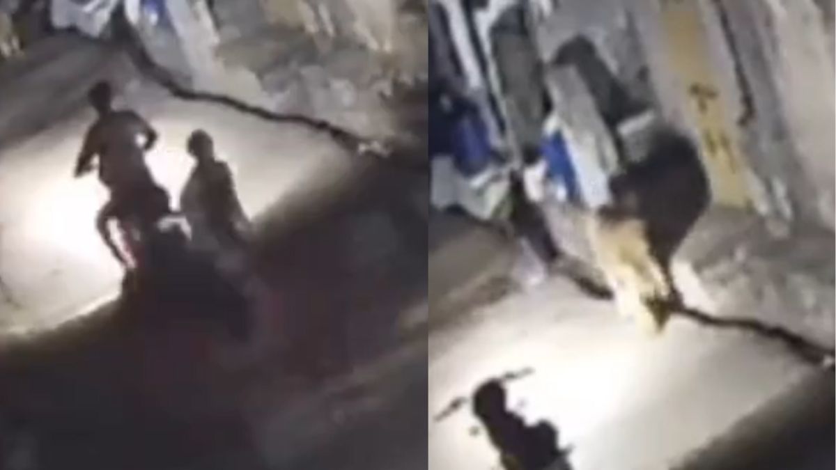 gujarat-couple-encounters-lion-during-night-ride-in-somnath-cctv-footage-goes-viral-watch