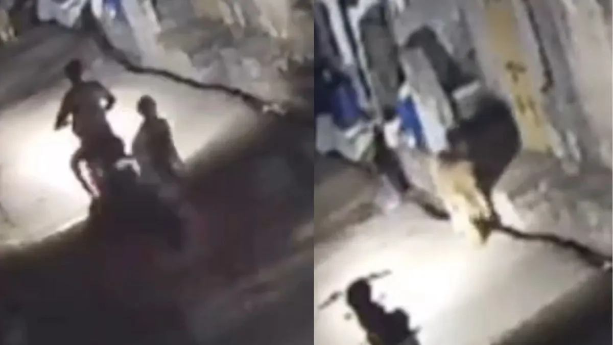 gujarat-couple-encounters-lion-during-night-ride-in-somnath-cctv-footage-goes-viral-watch